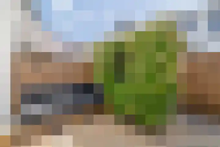 Prins Hendrikstraat 24 Krommenie thumbnail 4