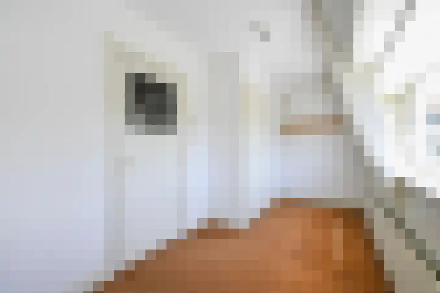 Prins Hendrikstraat 24 Voorburg thumbnail 19