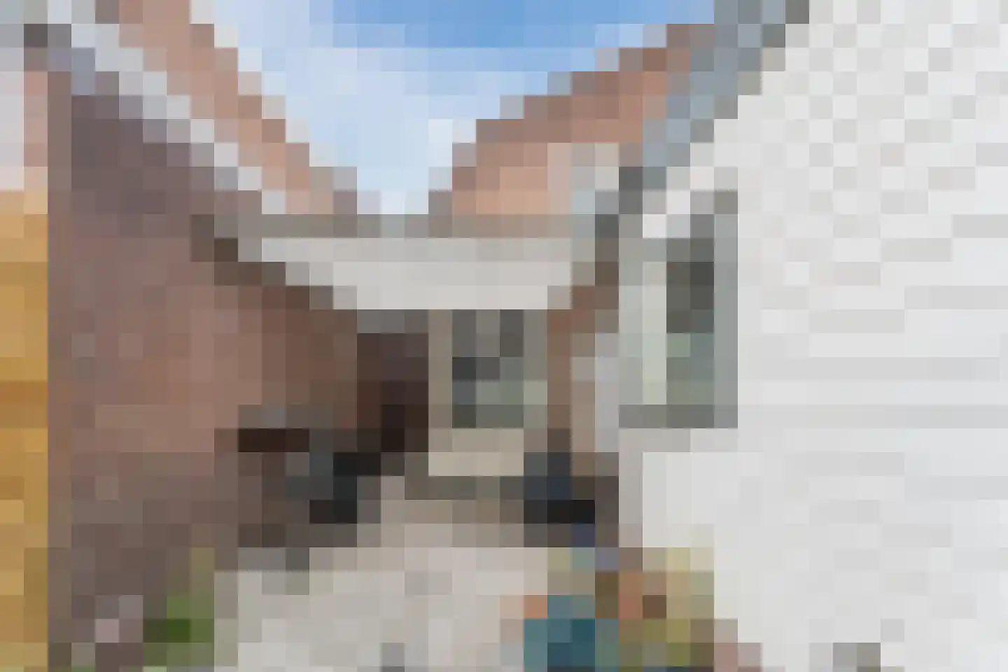 Prins Hendrikstraat 25 Sliedrecht thumbnail 29
