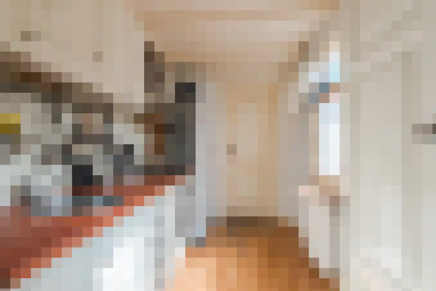 Prins Hendrikstraat 25 Sliedrecht thumbnail 8
