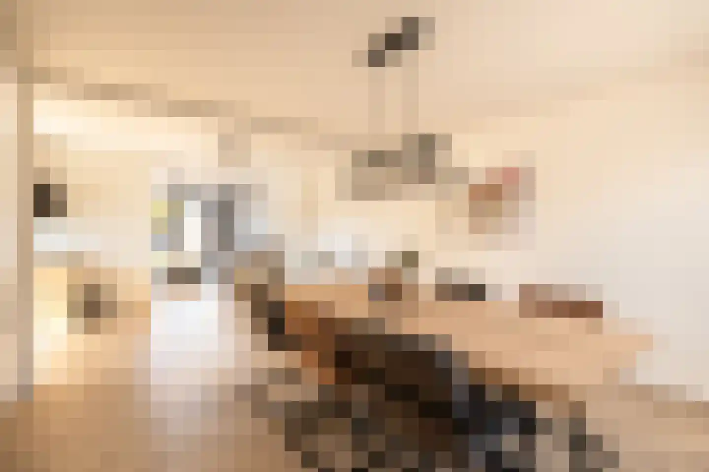 Prins Hendrikstraat 26 Grevenbicht thumbnail 11