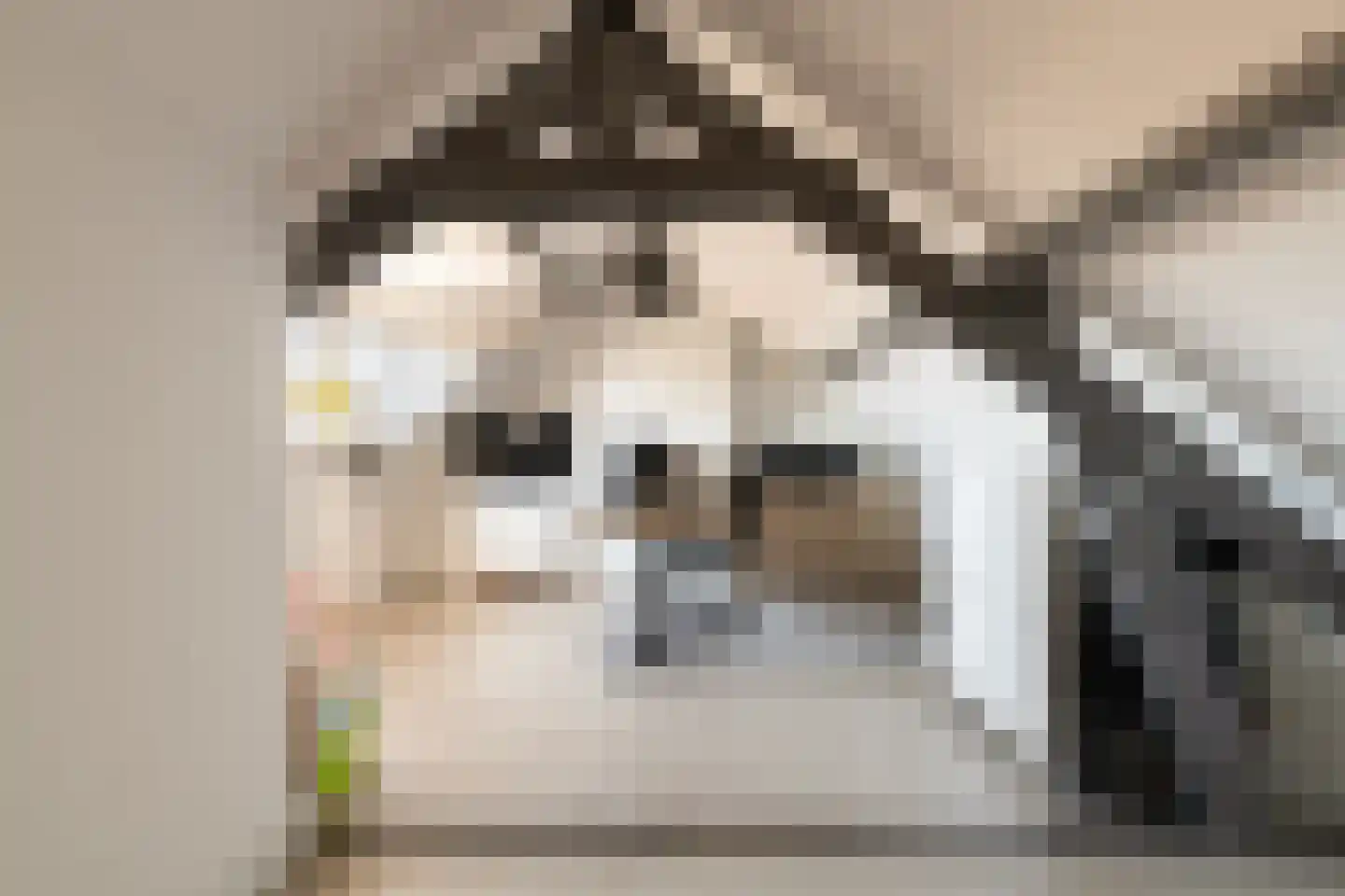 Prins Hendrikstraat 26 Grevenbicht thumbnail 52