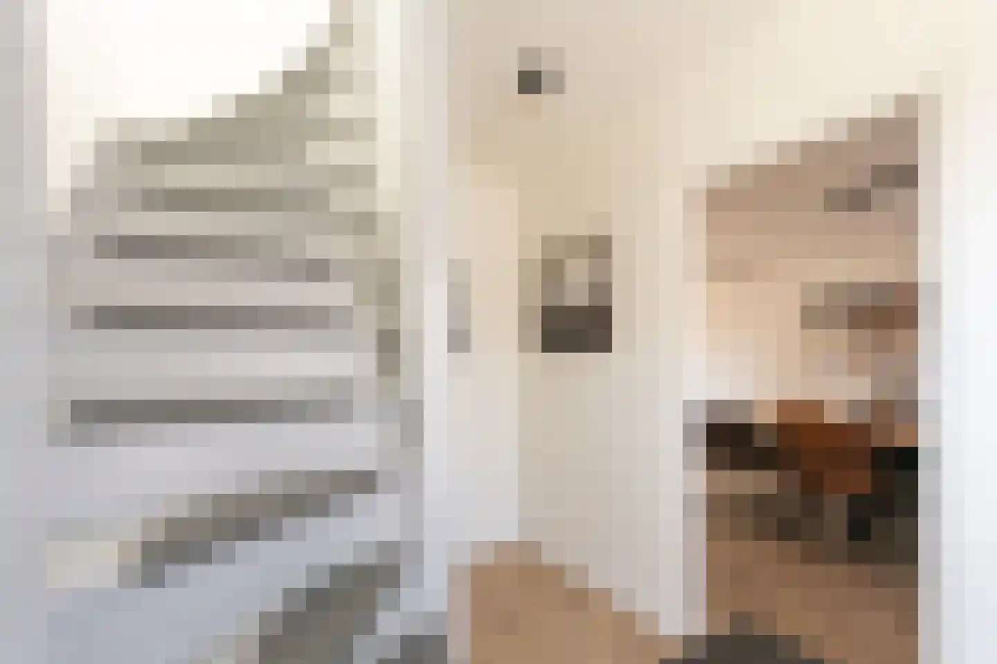 Prins Hendrikstraat 26 Grevenbicht thumbnail 9
