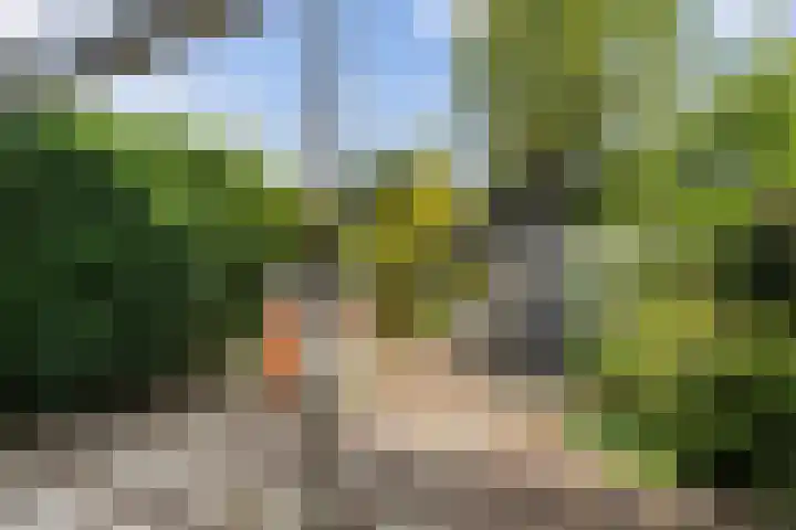 Prins Hendrikstraat 26 Lisse thumbnail 13