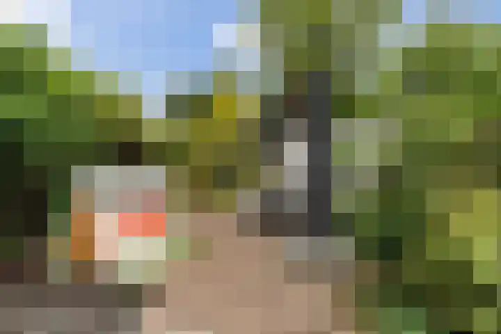 Prins Hendrikstraat 26 Lisse thumbnail 14
