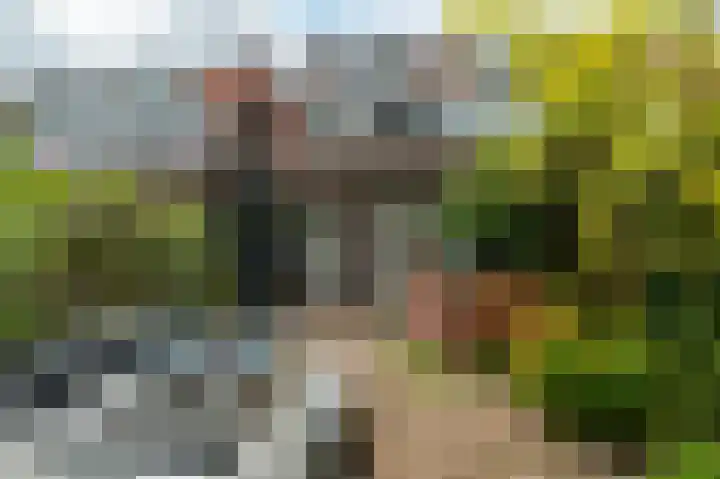 Prins Hendrikstraat 26 Lisse thumbnail 16