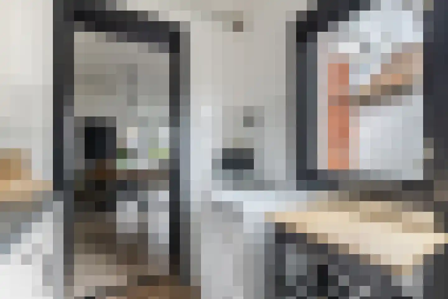 Prins Hendrikstraat 26 Zaandam thumbnail 14