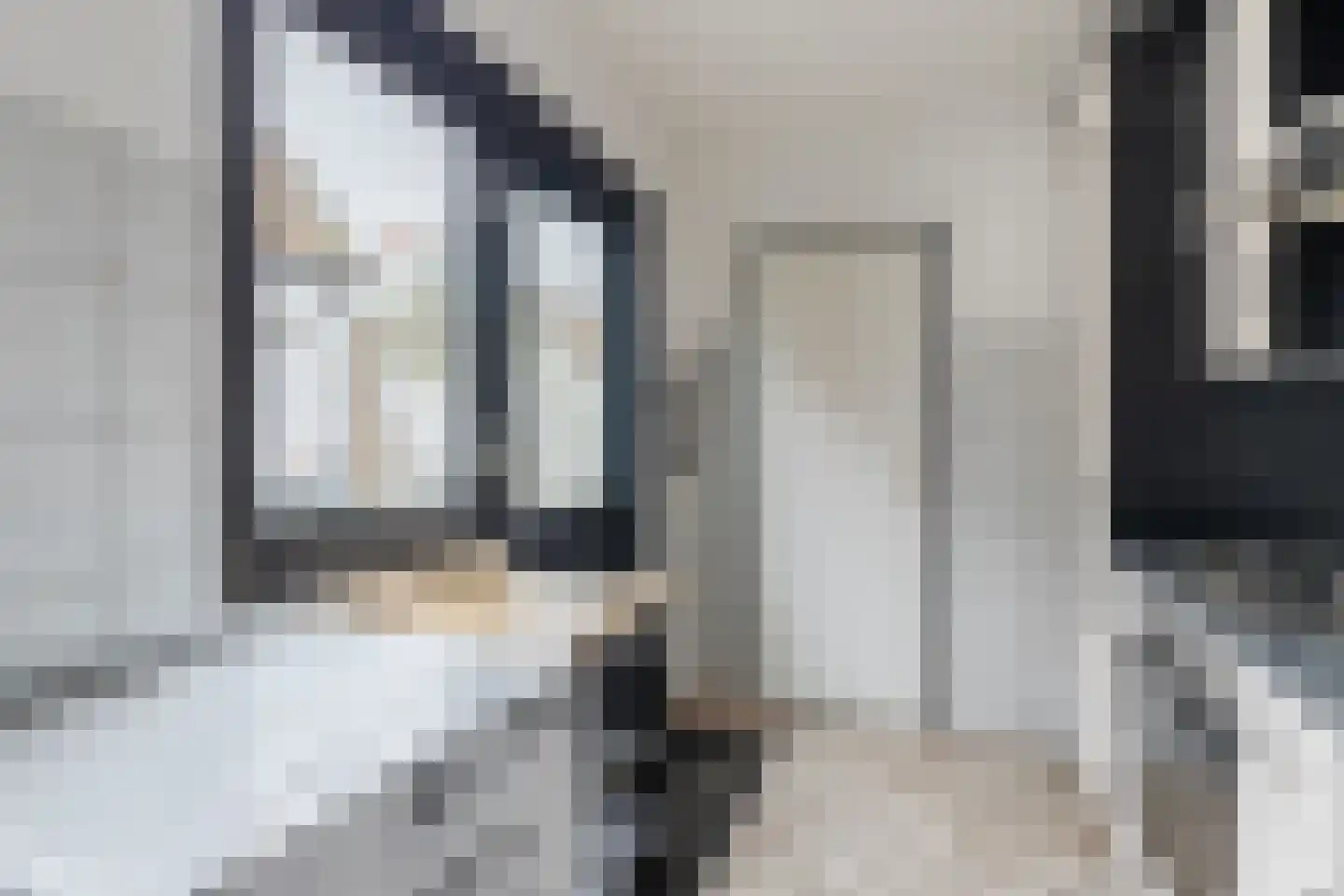 Prins Hendrikstraat 26 Zaandam thumbnail 16