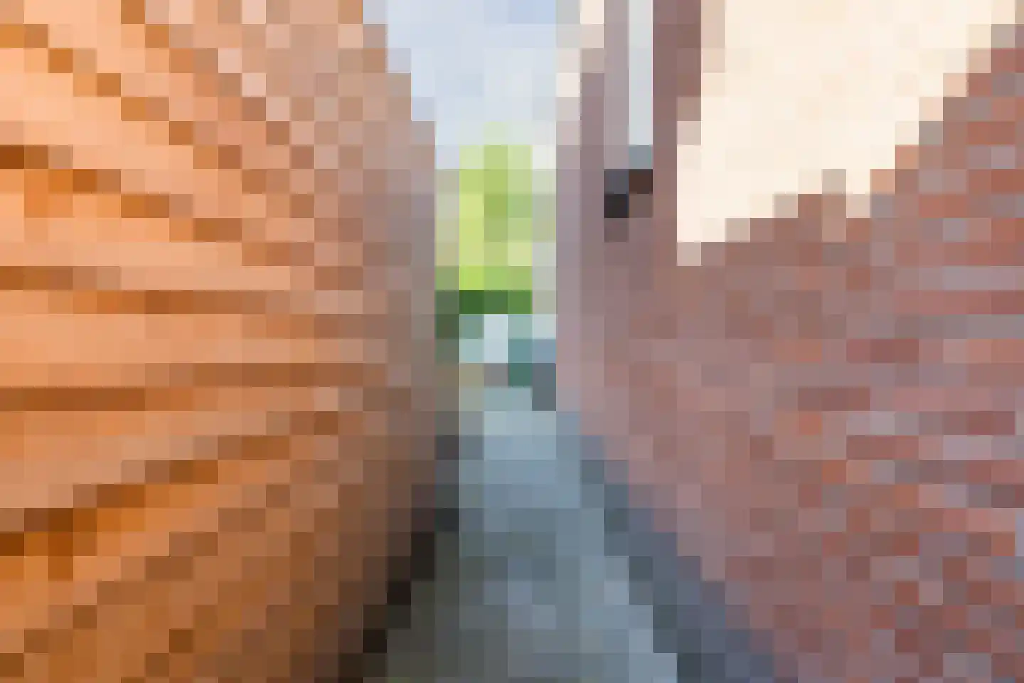 Prins Hendrikstraat 26 Zaandam thumbnail 23