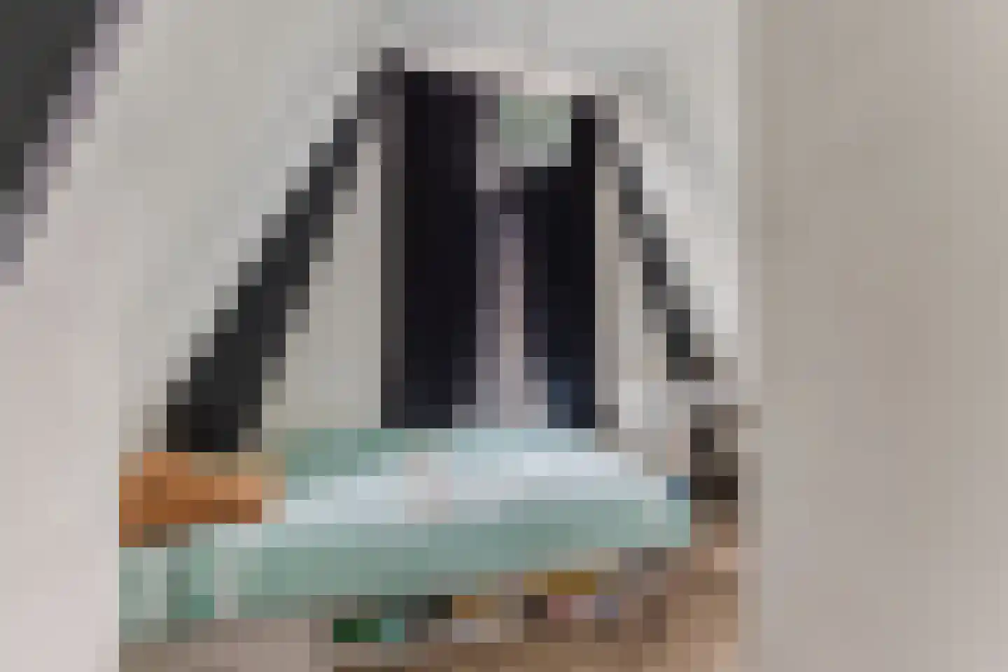 Prins Hendrikstraat 26 Zaandam thumbnail 28