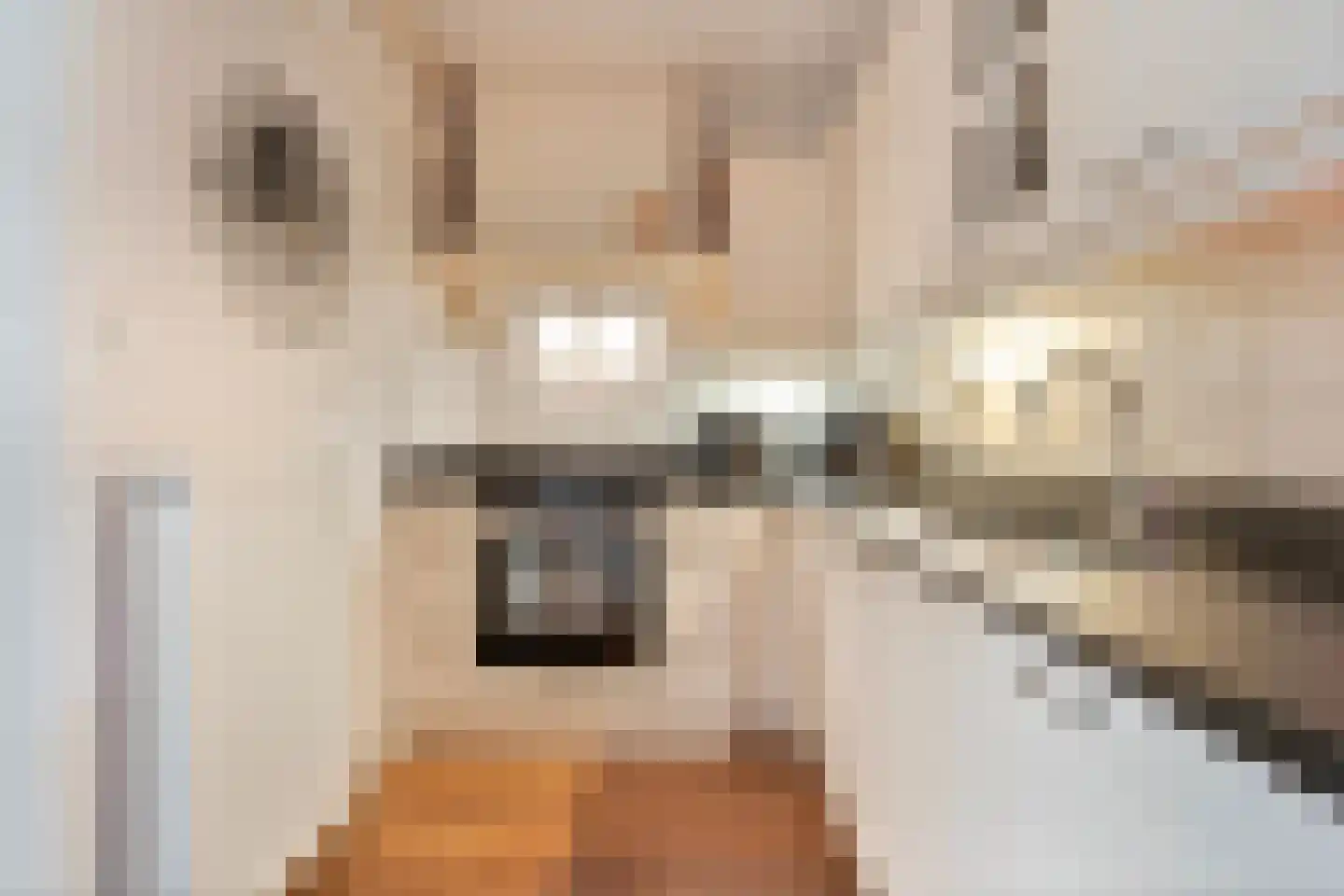 Prins Hendrikstraat 27 Nijverdal thumbnail 21