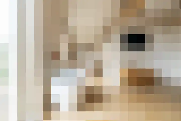Prins Hendrikstraat 29 Breda thumbnail 32