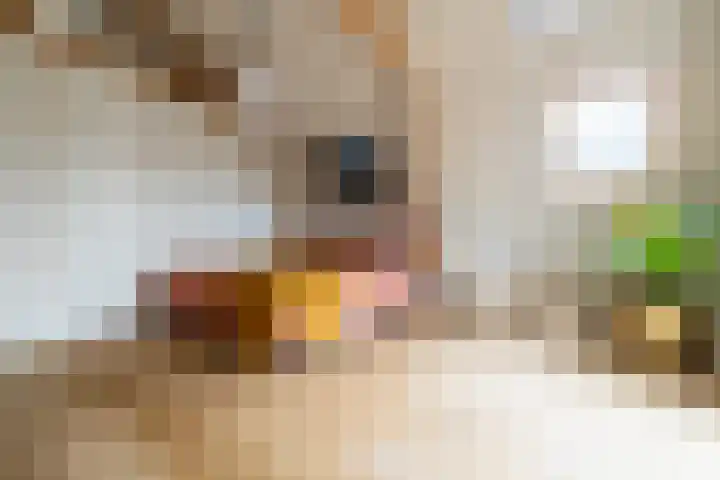 Prins Hendrikstraat 29 Breda thumbnail 37