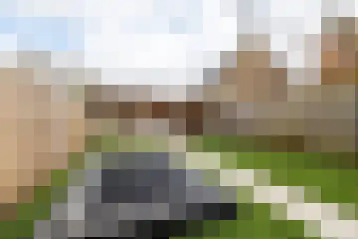 Prins Hendrikstraat 29 Breda thumbnail 44