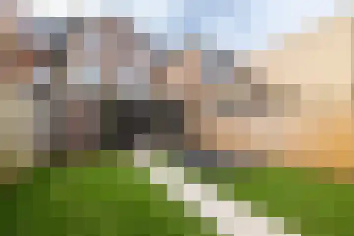 Prins Hendrikstraat 29 Breda thumbnail 46