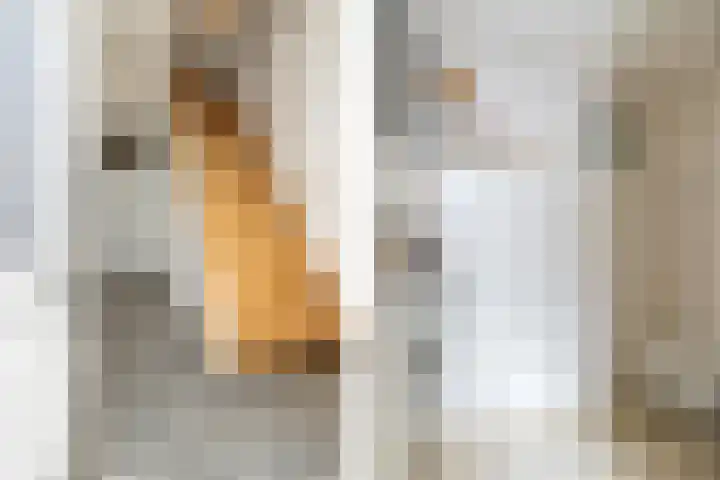 Prins Hendrikstraat 29 Breda thumbnail 6
