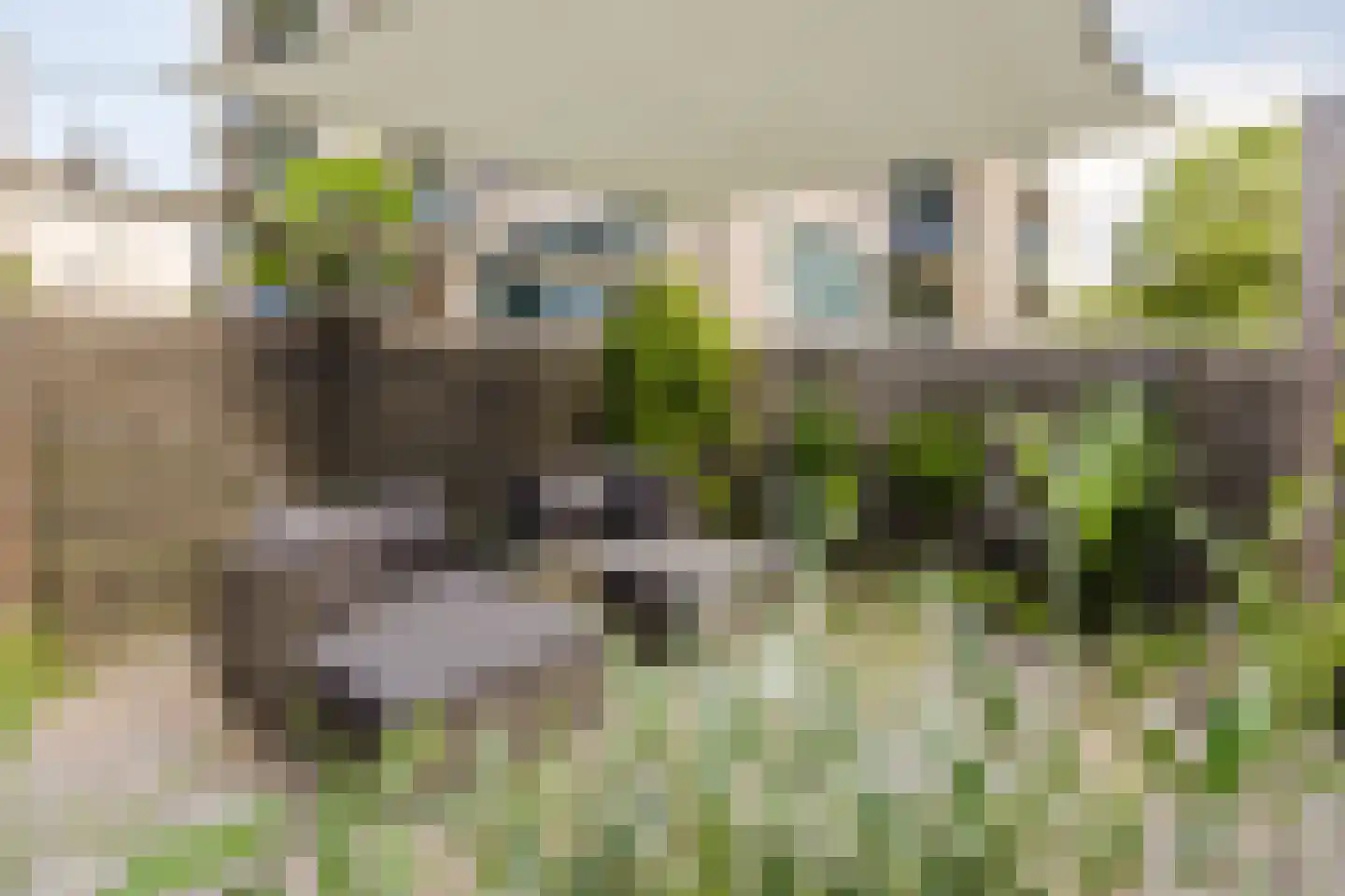 Prins Hendrikstraat 29 Leerdam thumbnail 11