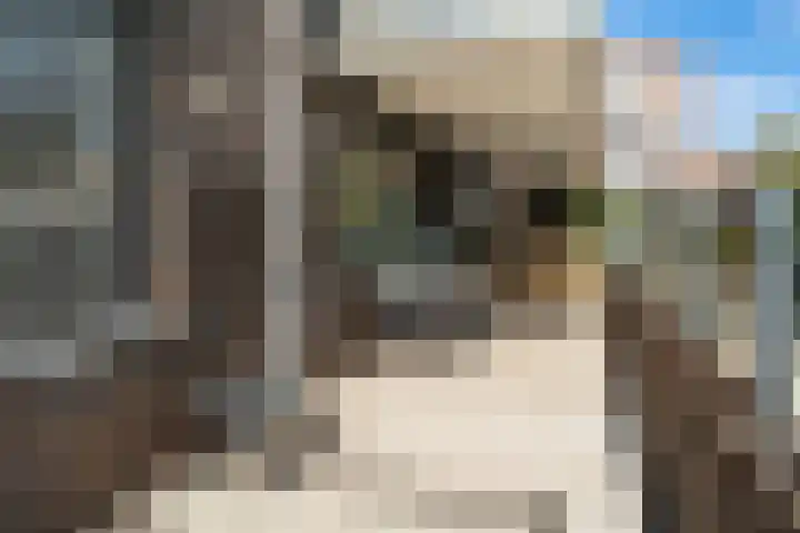 Prins Hendrikstraat 3 Alphen aan den Rijn thumbnail 26