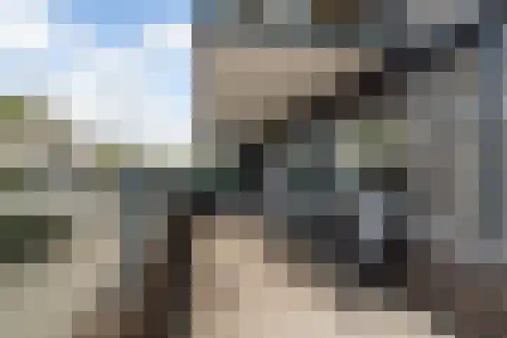 Prins Hendrikstraat 3 Alphen aan den Rijn thumbnail 42
