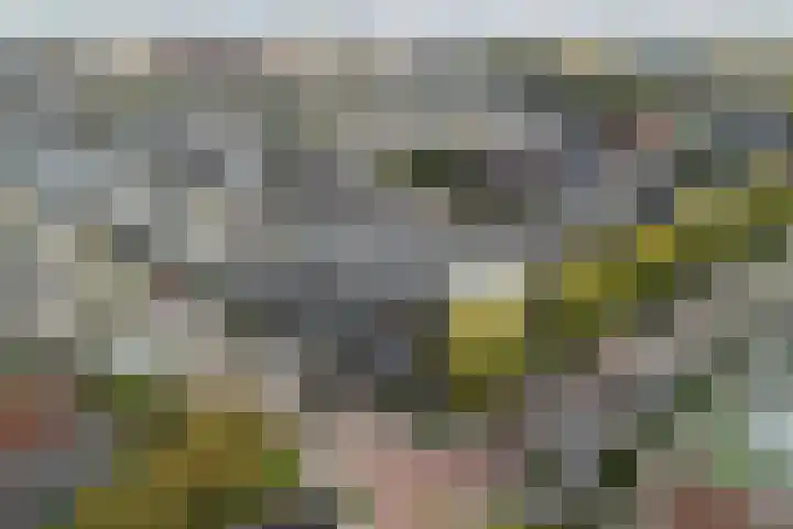 Prins Hendrikstraat 3 Alphen aan den Rijn thumbnail 5