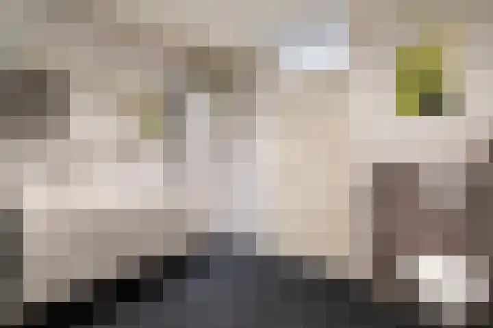 Prins Hendrikstraat 3 Alphen aan den Rijn thumbnail 50