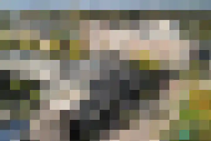Prins Hendrikstraat 3 Alphen aan den Rijn thumbnail 6