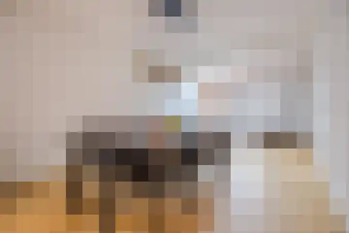 Prins Hendrikstraat 3 Dongen thumbnail 14