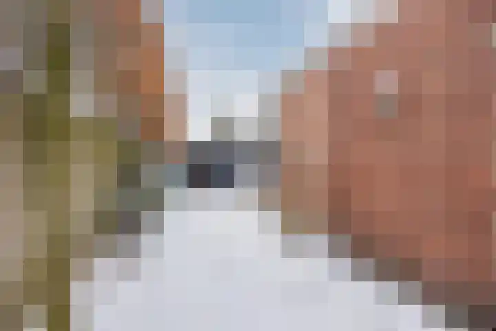 Prins Hendrikstraat 3 Dongen thumbnail 25