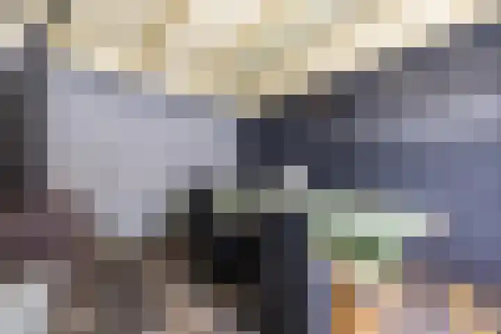 Prins Hendrikstraat 3 Dongen thumbnail 28