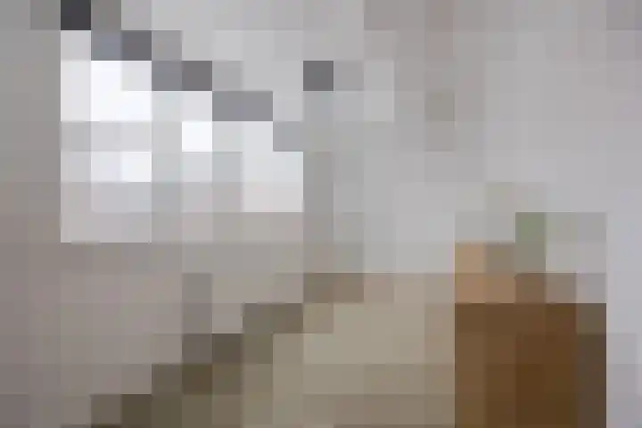 Prins Hendrikstraat 3 Dongen thumbnail 37
