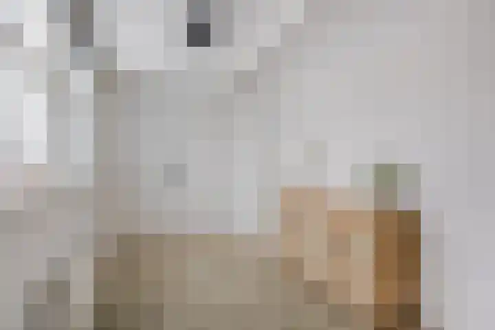 Prins Hendrikstraat 3 Dongen thumbnail 38
