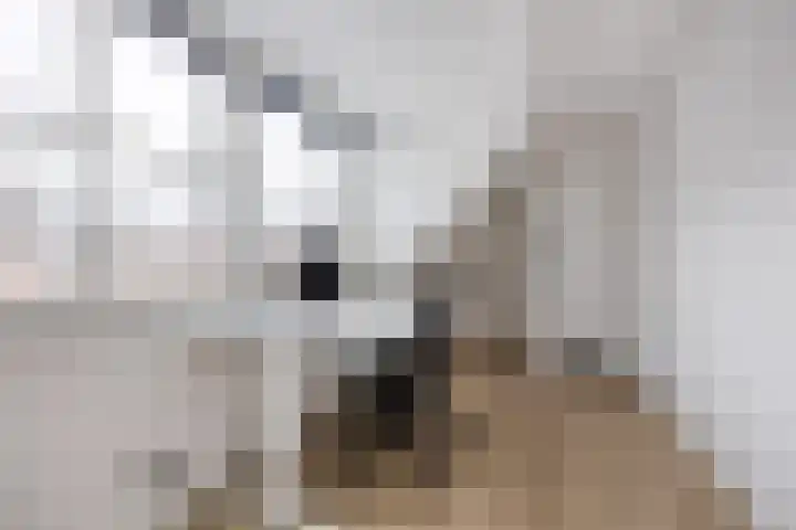Prins Hendrikstraat 3 Dongen thumbnail 40