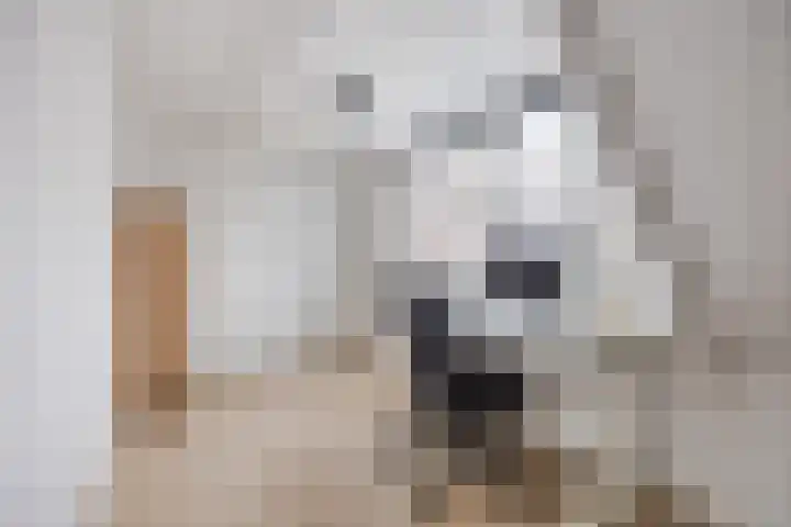 Prins Hendrikstraat 3 Dongen thumbnail 41