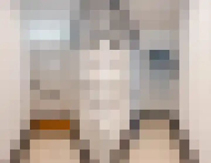 Prins Hendrikstraat 3 Dongen thumbnail 5