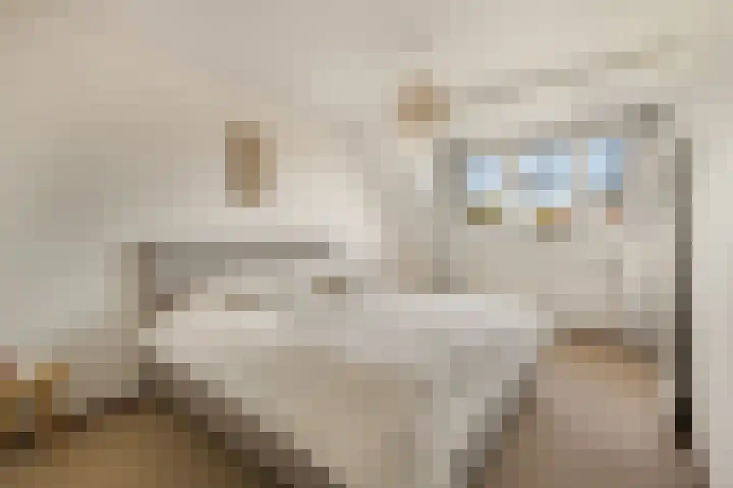Prins Hendrikstraat 30 Egmond aan Zee thumbnail 19