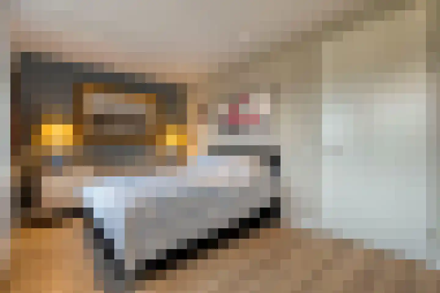 Prins Hendrikstraat 30 Oldenzaal thumbnail 32