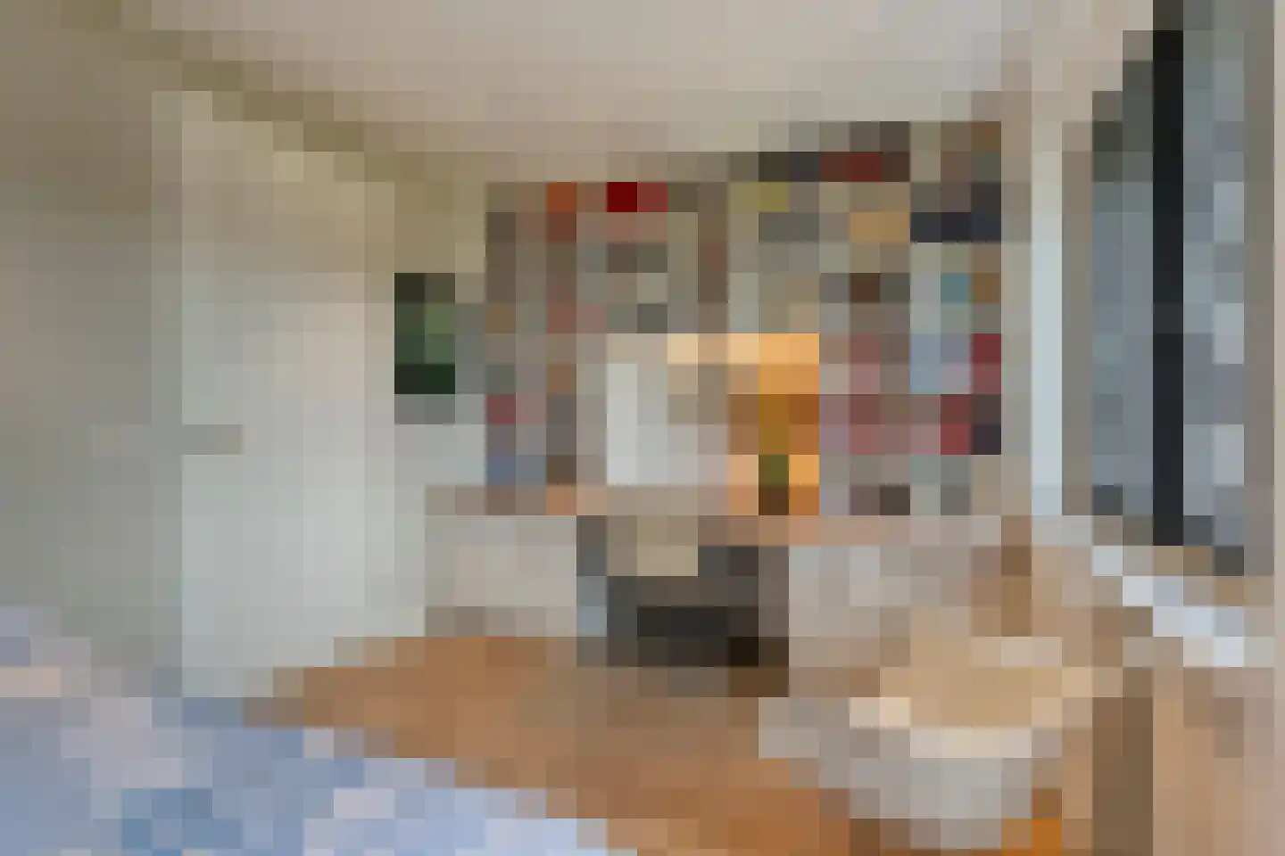 Prins Hendrikstraat 30 Oldenzaal thumbnail 33