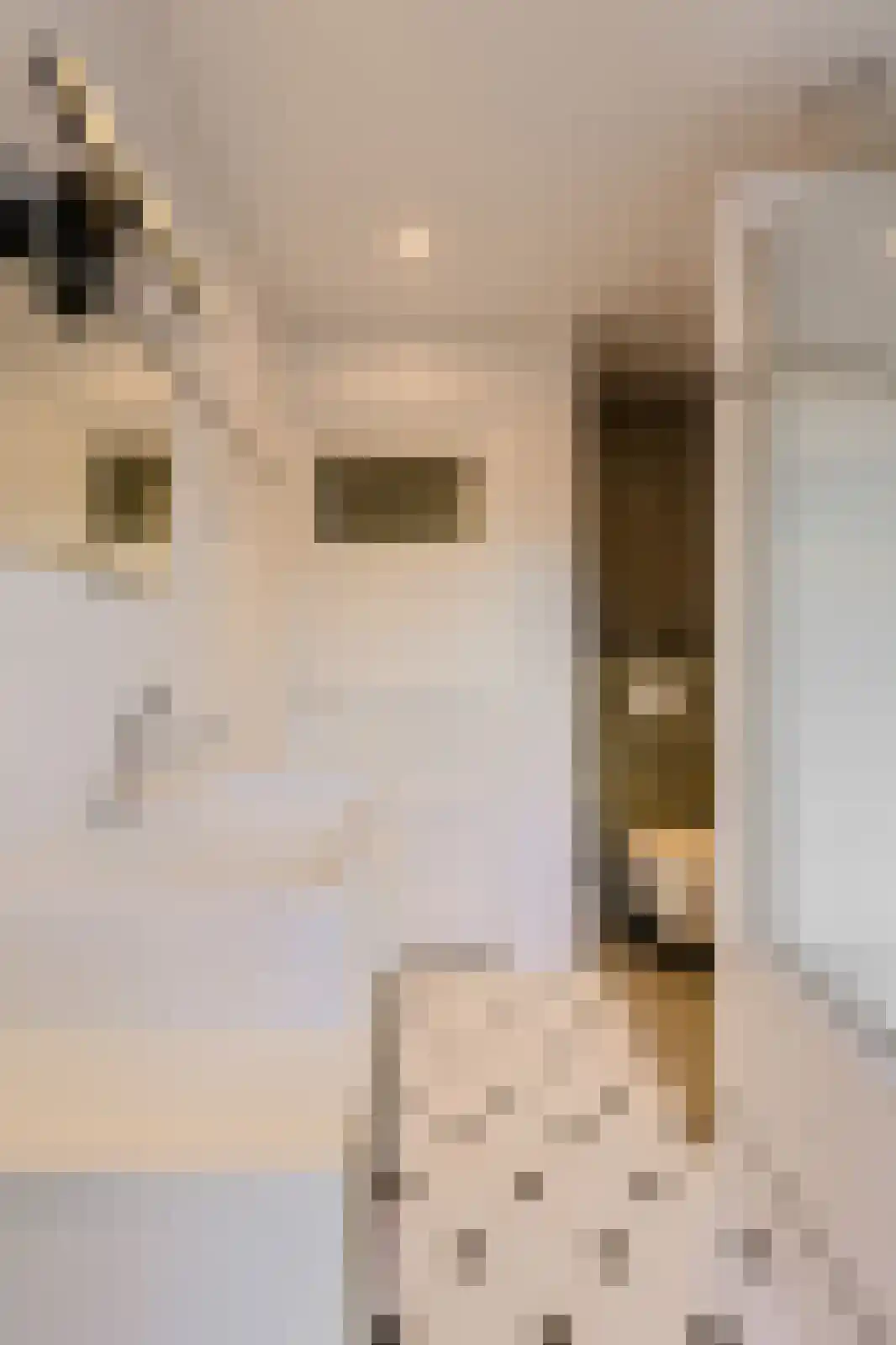 Prins Hendrikstraat 31 Breda thumbnail 20