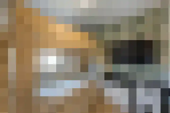 Prins Hendrikstraat 31 Echt thumbnail 23
