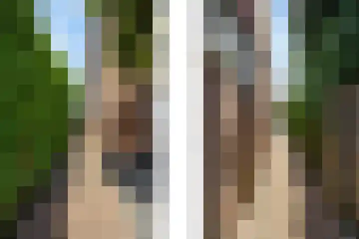 Prins Hendrikstraat 31 Echt thumbnail 28