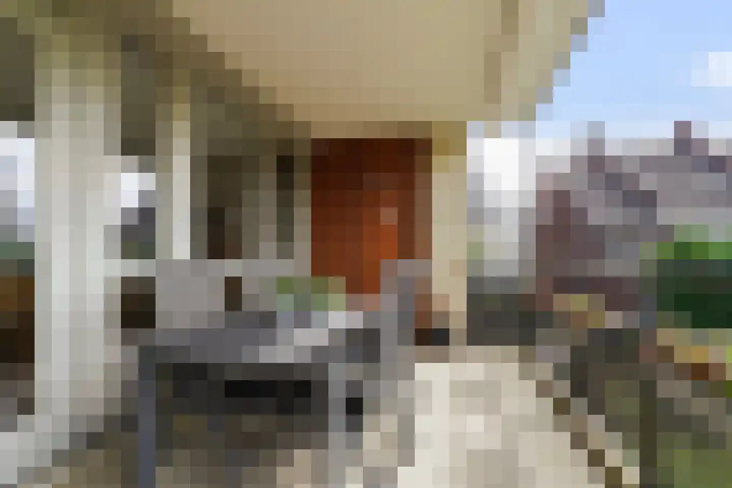 Prins Hendrikstraat 32 08 Boxtel thumbnail 47