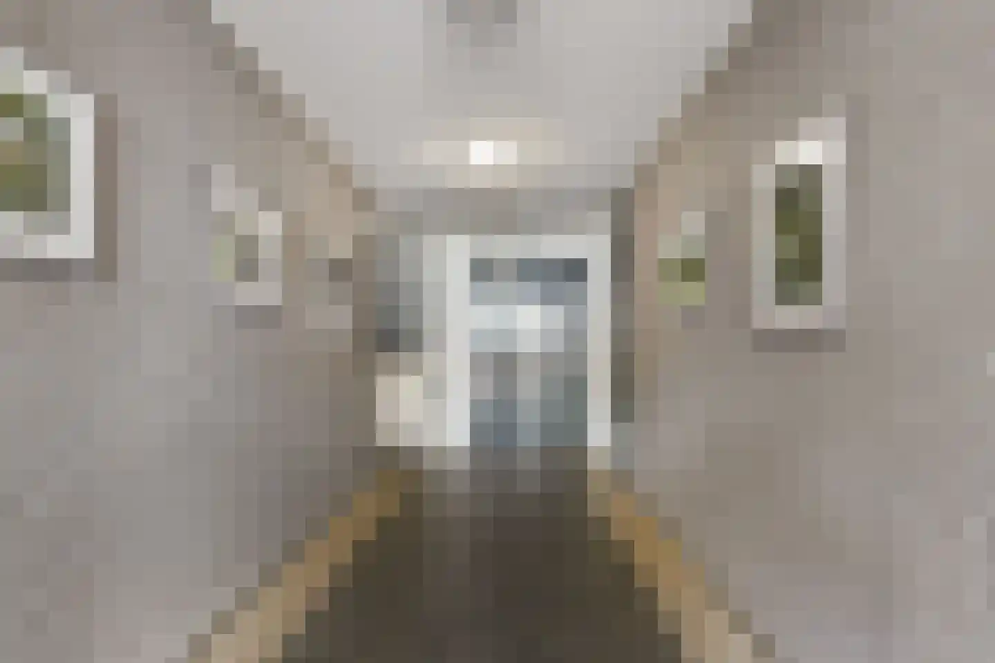 Prins Hendrikstraat 32 08 Boxtel thumbnail 8