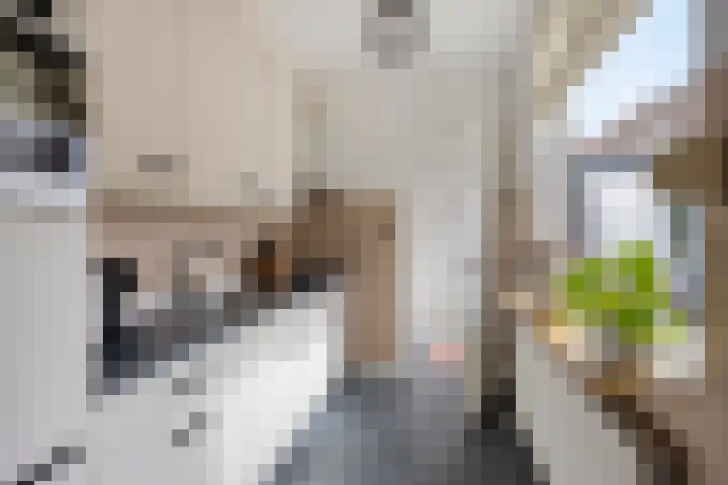 Prins Hendrikstraat 33 Sliedrecht thumbnail 10