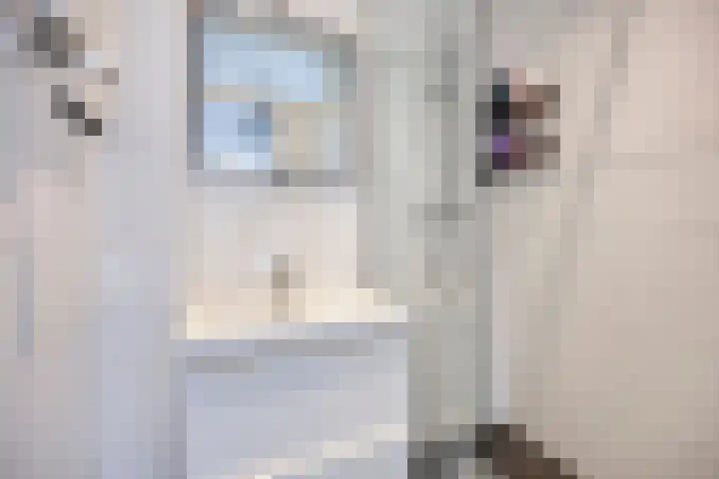 Prins Hendrikstraat 33 Sliedrecht thumbnail 15