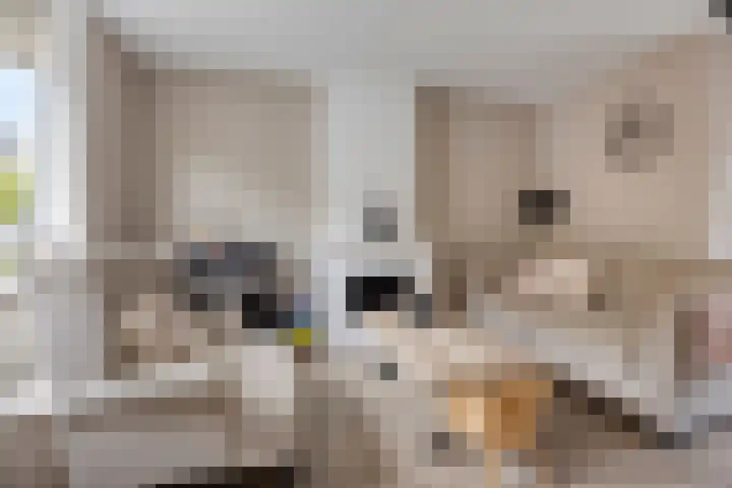 Prins Hendrikstraat 33 Sliedrecht thumbnail 4