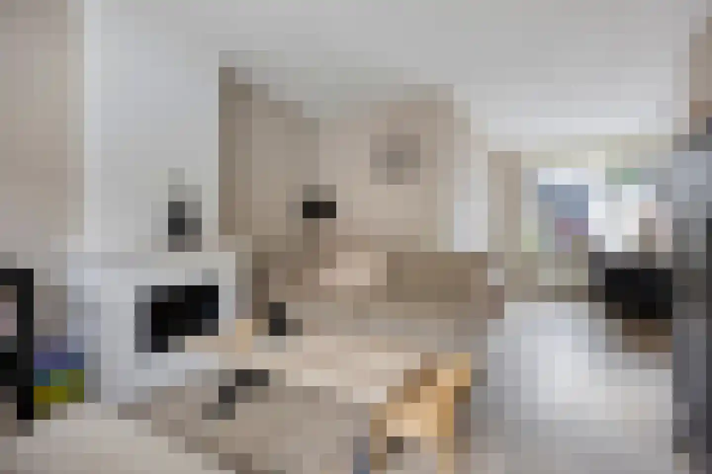 Prins Hendrikstraat 33 Sliedrecht thumbnail 6