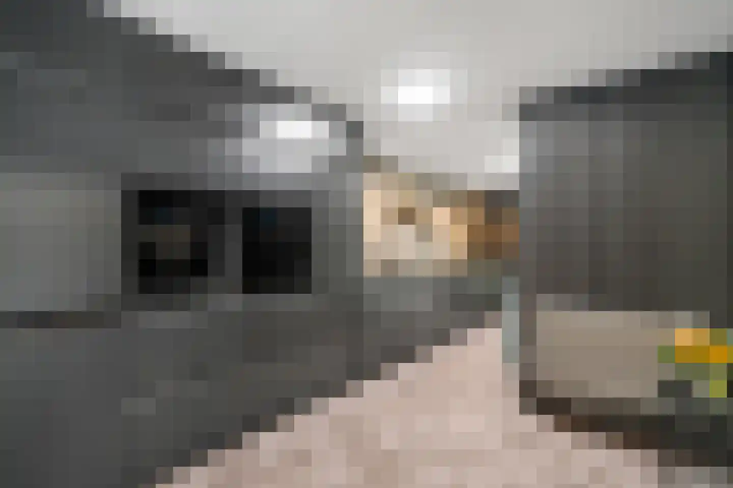 Prins Hendrikstraat 33 Wierden thumbnail 13