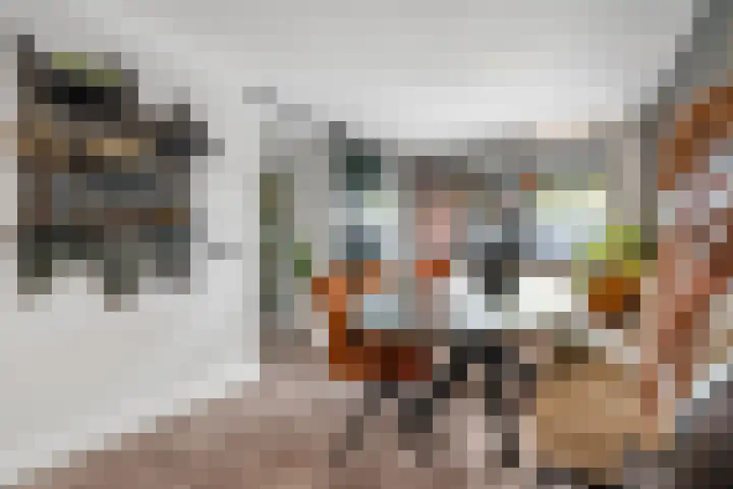 Prins Hendrikstraat 33 Wierden thumbnail 14