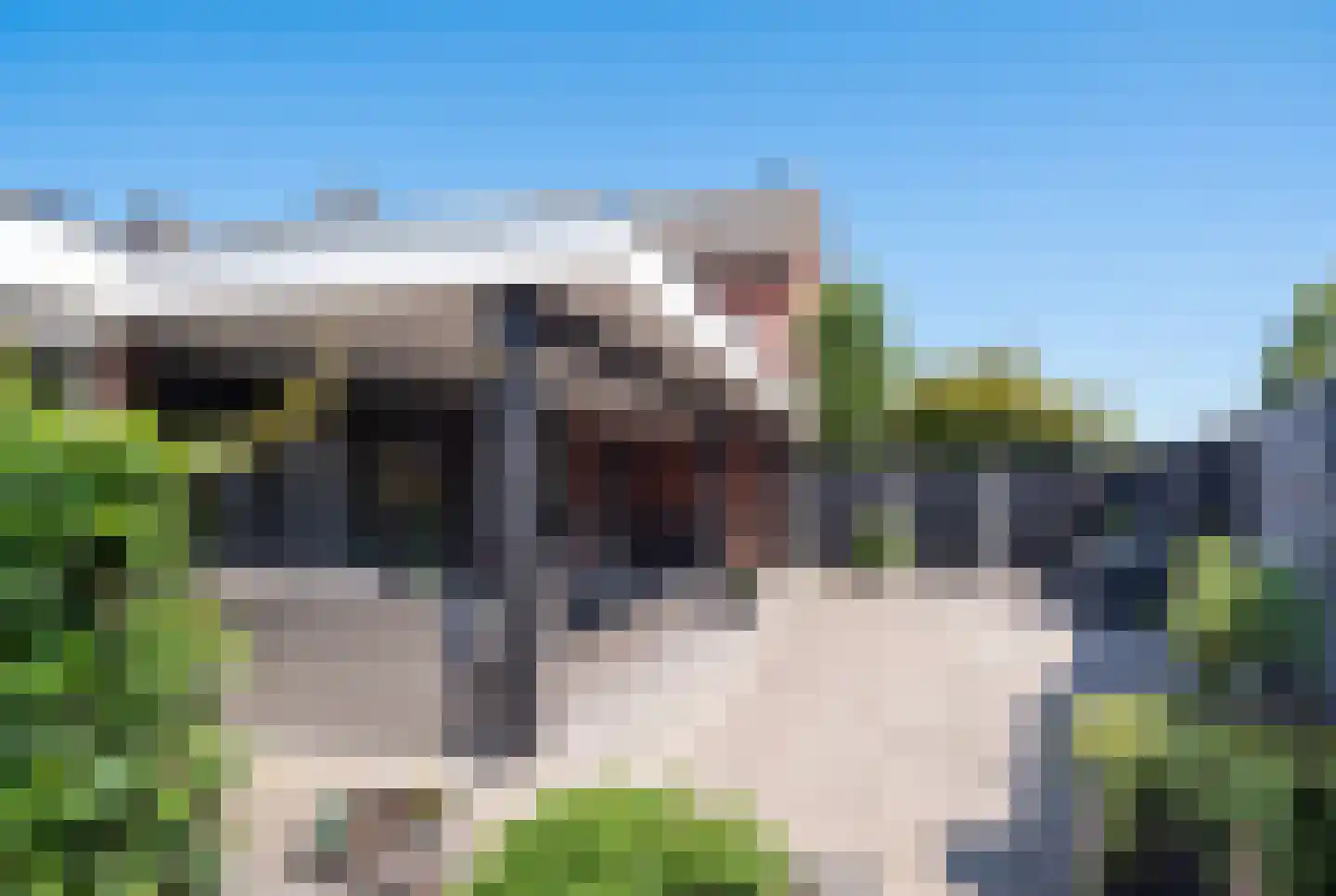Prins Hendrikstraat 33 Wierden thumbnail 38