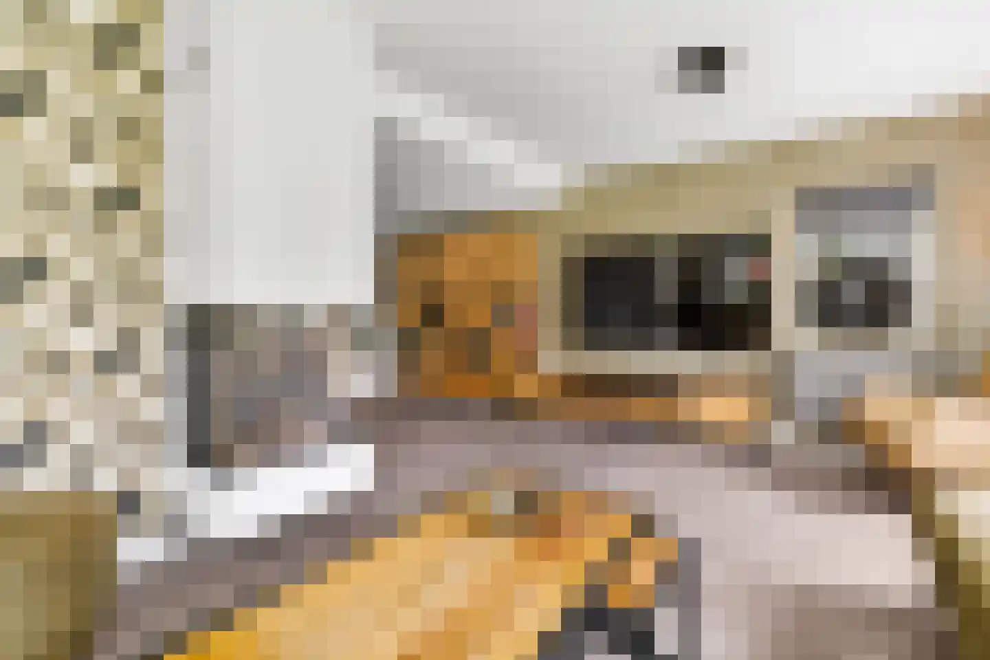 Prins Hendrikstraat 33 Wierden thumbnail 9